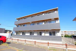 CATMINTの画像