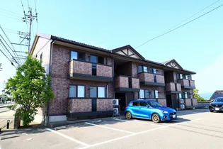 ウィルモア リプル Aの画像