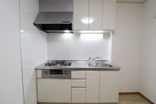 トリヴァンベール【1階】のキッチン