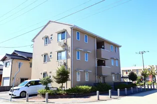 プリムラの画像