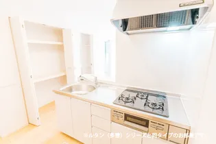 ヴィラアミング Ⅱ【1階】のキッチン