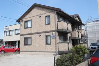 シーガルの画像