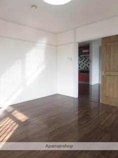 ハイツ城【307号室】の内装