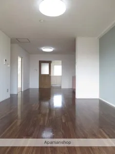 ハイツ城【307号室】の居間