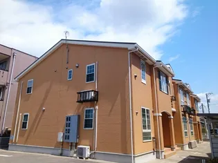 フェリチタの画像