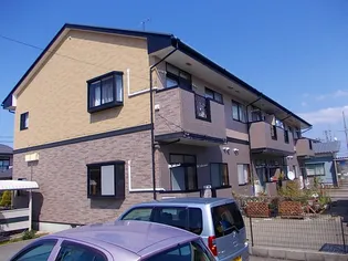 ピーノグランデの画像