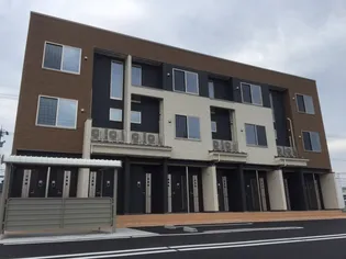 オレガノの画像