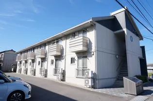 コッカー スパニエルの画像