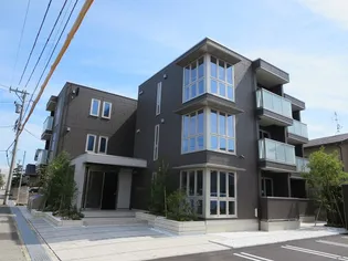 ラフィニアの画像