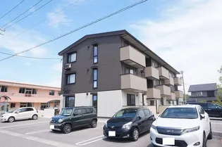 シオンの画像