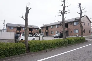 ウィンベル24 Bの画像