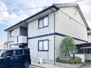 サンフラワー Bの画像