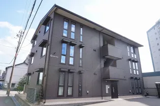 STELLA NOVEステラ ノーヴェの画像