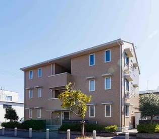 プリムラの画像