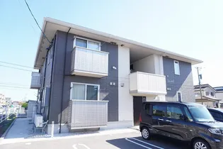 DIANTHUSの画像