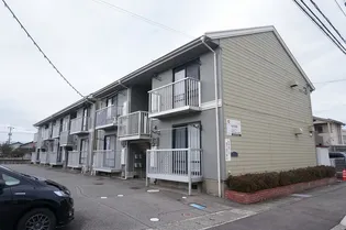 アドニスT M №3№5 №5の画像