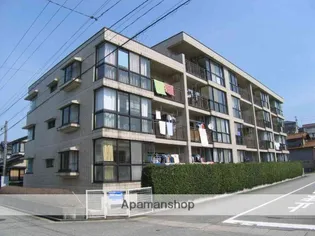 ドリームシャインイトーの画像