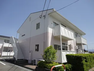 アミスターBの画像