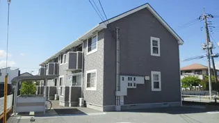 サンライトの画像