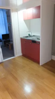 レオパレス韮崎【103号室】のキッチン