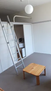 レオパレス韮崎【203号室】の居間