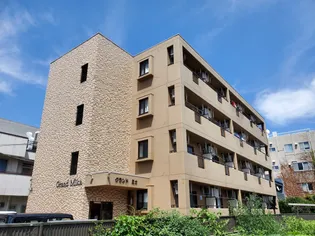 グランド・ミカ【302号号室】の外観