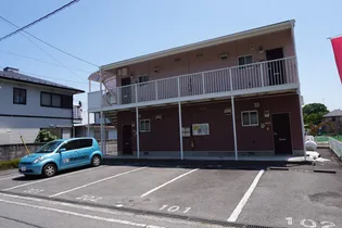 アミティKの画像