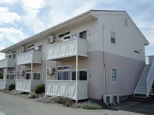 アミスターBの画像