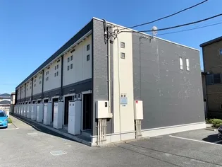 レオネクストフラワーの画像