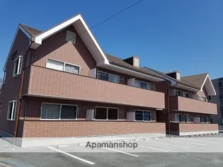 ドルチェの画像