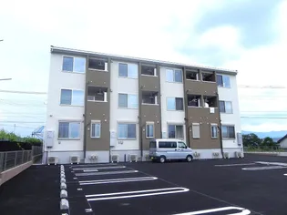 チェリーブロッサムの画像