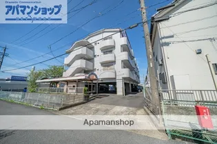 スイトマジョラムの画像
