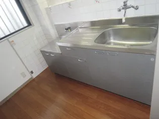 サンガーデンセレス【301号室】のキッチン