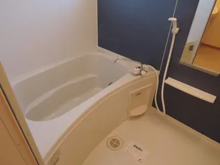 ウェルフェアー【1階】の風呂