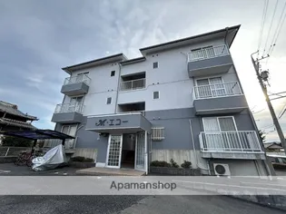 M エコーの画像