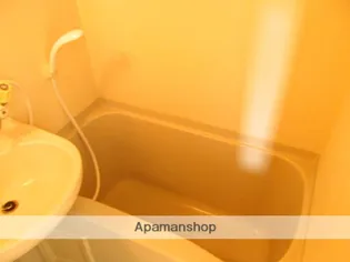 AVION瑞穂【2階】の風呂