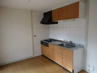 エーデルワイスⅡ【201号室】のキッチン