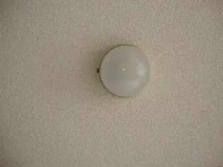 ミロワール【00203号室】の内装