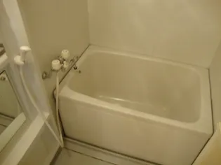 ミロワール【00203号室】の風呂