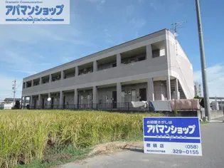 サンシャイン棚橋A【2階】の外観