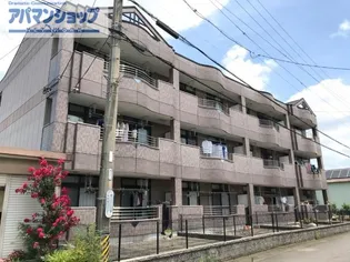 オリンピア Eの画像