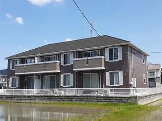 エクセランIIの画像