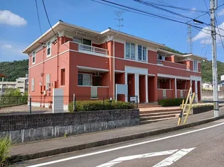 サニーブライトの画像