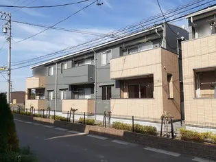 コートデイジーAの画像