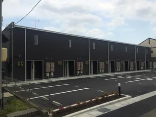 レオネクスト光の画像