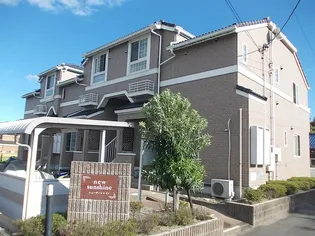 ニューサンシャインの画像