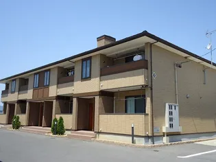 コートフリージアBの画像