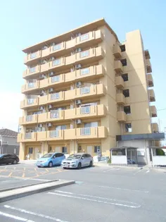 SHALLOWWELLの画像