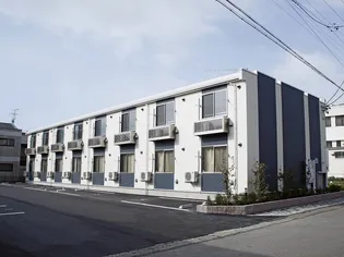 レオネクストすみれの画像