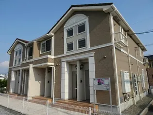 グラシアスの画像